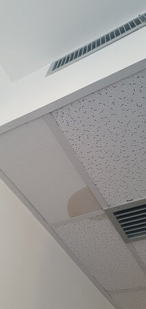 Hotel Nettuno主图