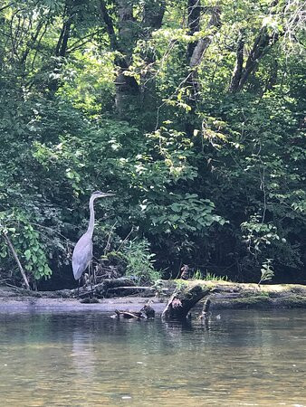 Battenkill Valley Outdoors-Cambridge必去景点