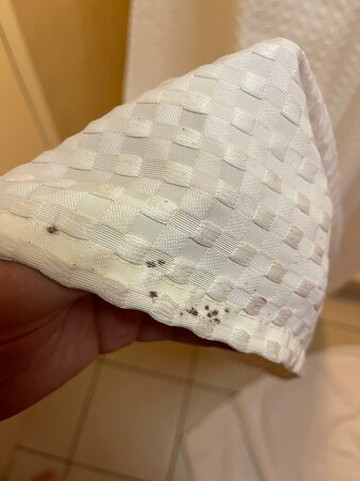 Courtyard by Marriott Tampa North/I-75 Fletcher主图