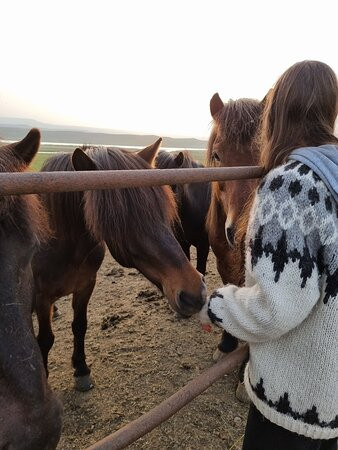 Galdrahestar Riding Tours-埃伊尔斯塔济必去景点