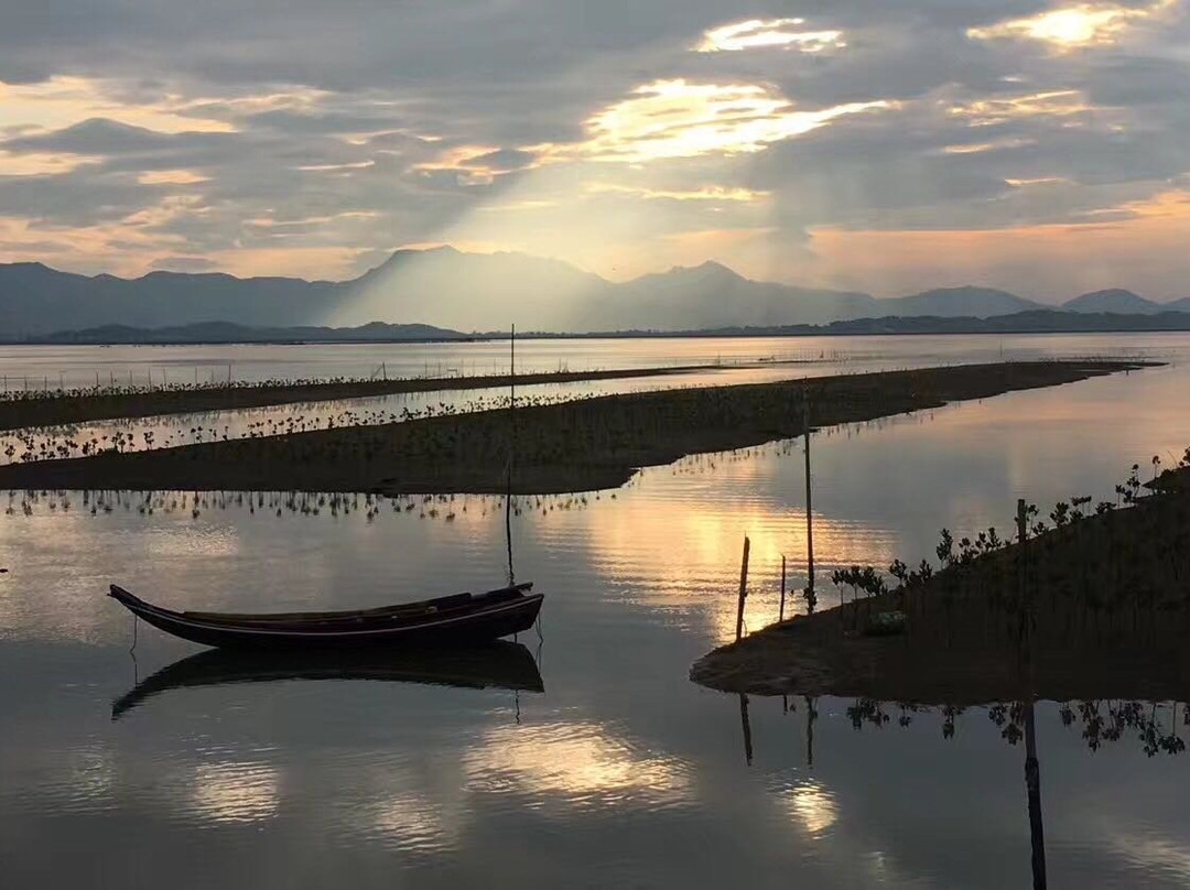 惠东县旅游攻略图片