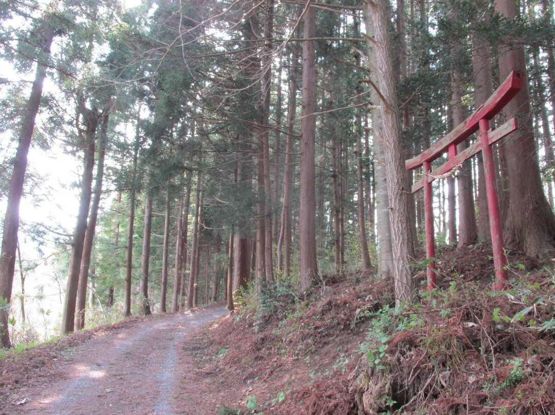 Avenue of Cedars in Uenomae景点图片