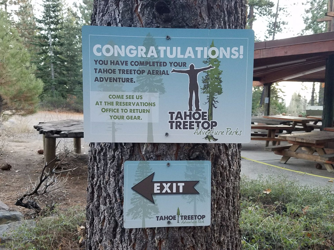 Tahoe Vista Treetop景点图片