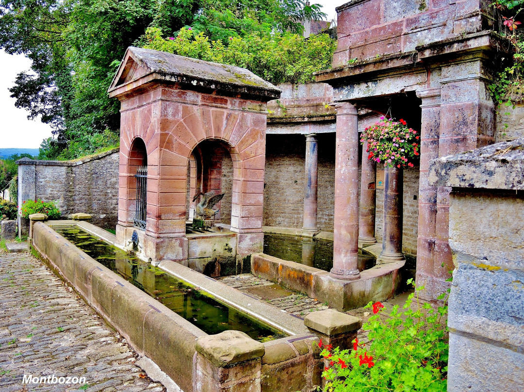 Fontaine du Cygne景点图片