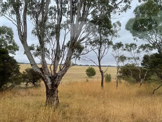 Lake Goldsmith-Beaufort必去景点