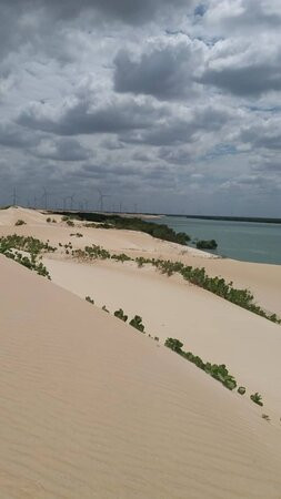 Dunas de Galinhos景点图片