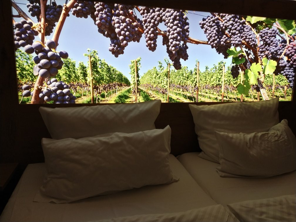 Hotel Rodderhof主图