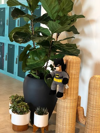 Rove at The Park主图