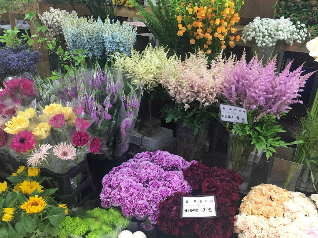 Yangjae Flower Market Center-首尔必去景点