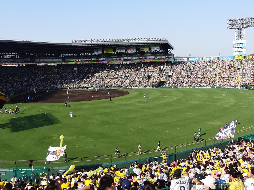 阪神甲子园球场景点图片