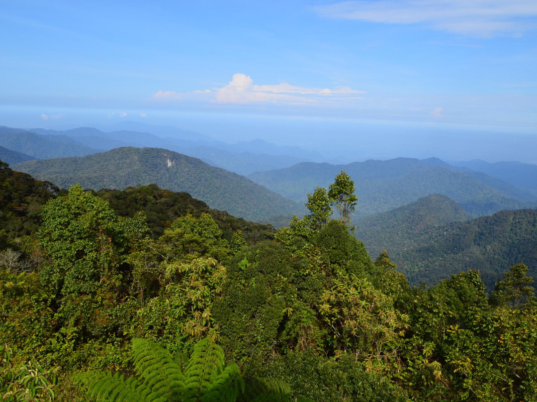 Gunung Brinchang