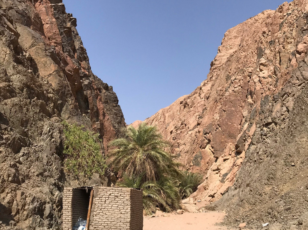 Arosio餐馆和美食-Sharm El Sheik