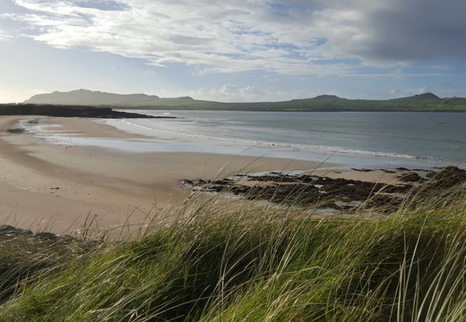 Wine Strand旅游攻略图片
