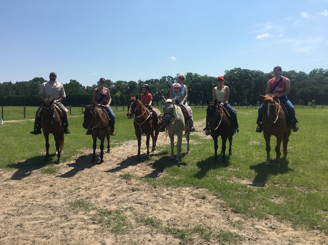 Rockin n Stables-Pelham必去景点