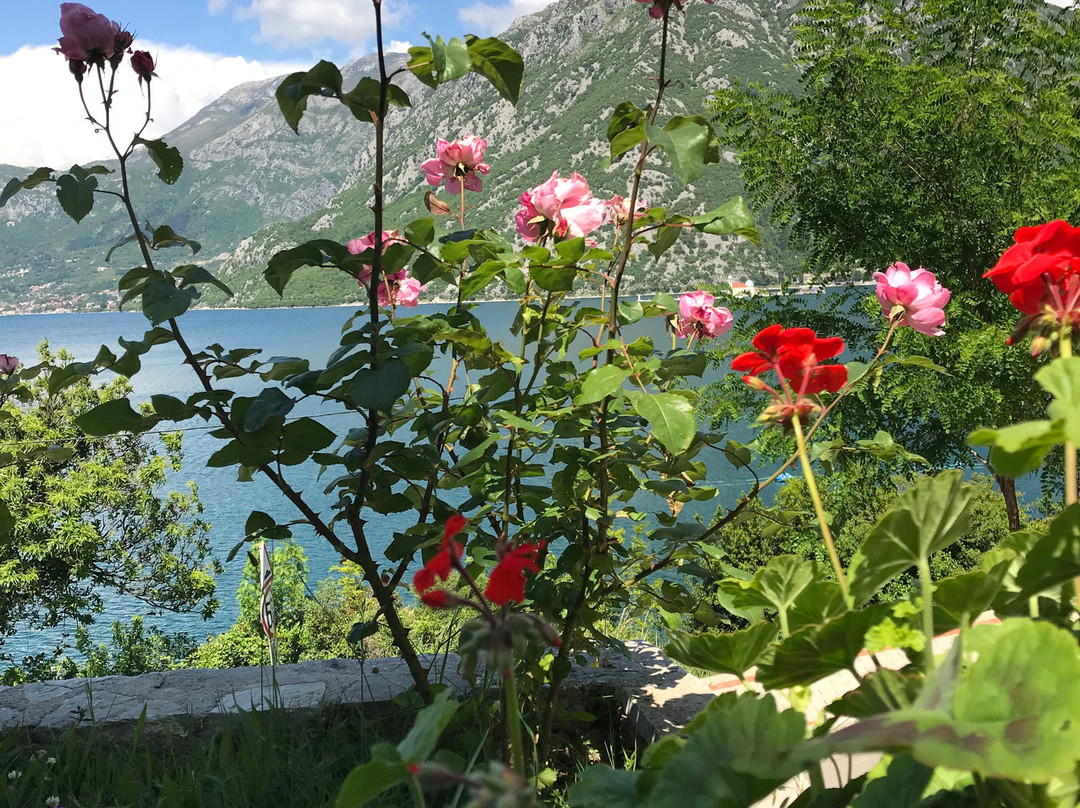 Apartments Boka Vista