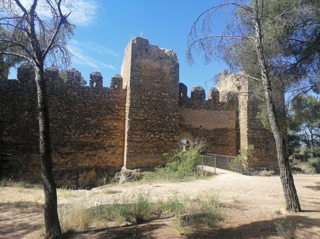 Aguallueve