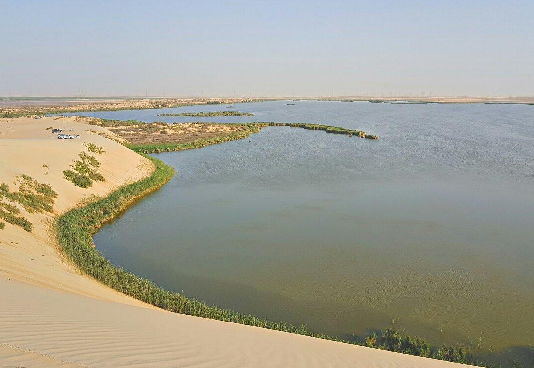 Al Ahsa旅游攻略图片