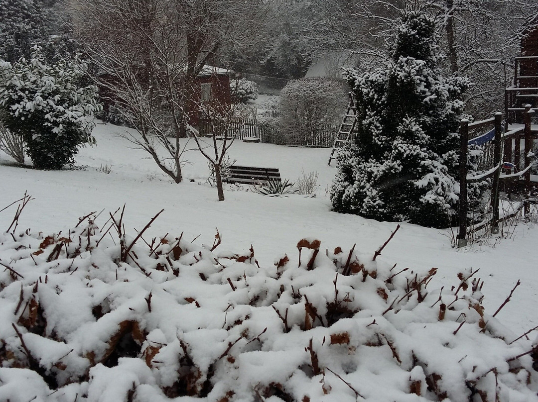 Borna旅游攻略图片