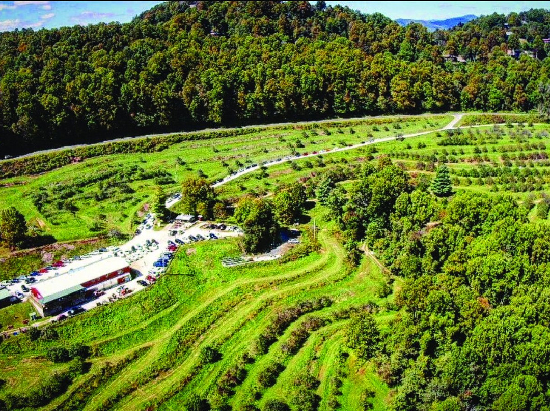 The Orchard At Altapass景点图片