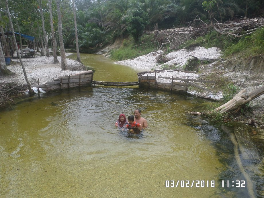 Sungai Hijau景点图片