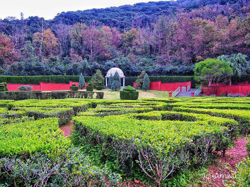 Flower Park Kagoshima景点图片