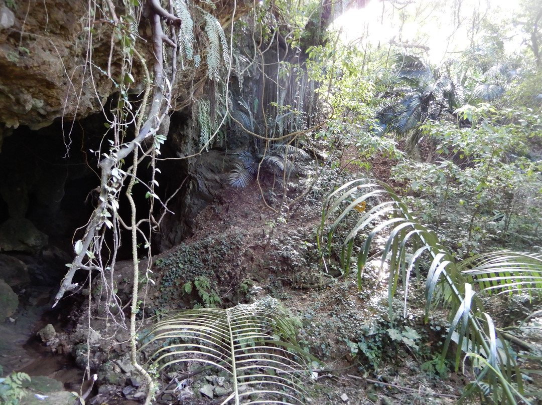 Shimuku Gama Cave景点图片
