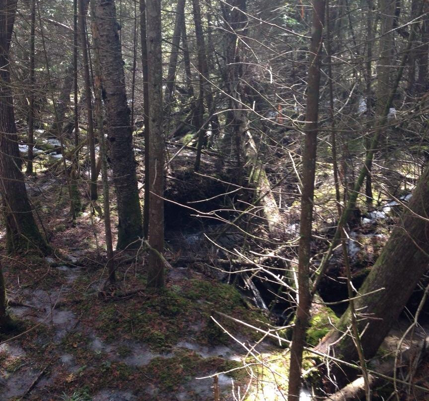 Cold Creek Conservation Area-Nobleton必去景点
