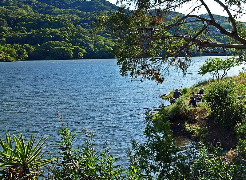 Chesbro Reservoir County Park景点图片