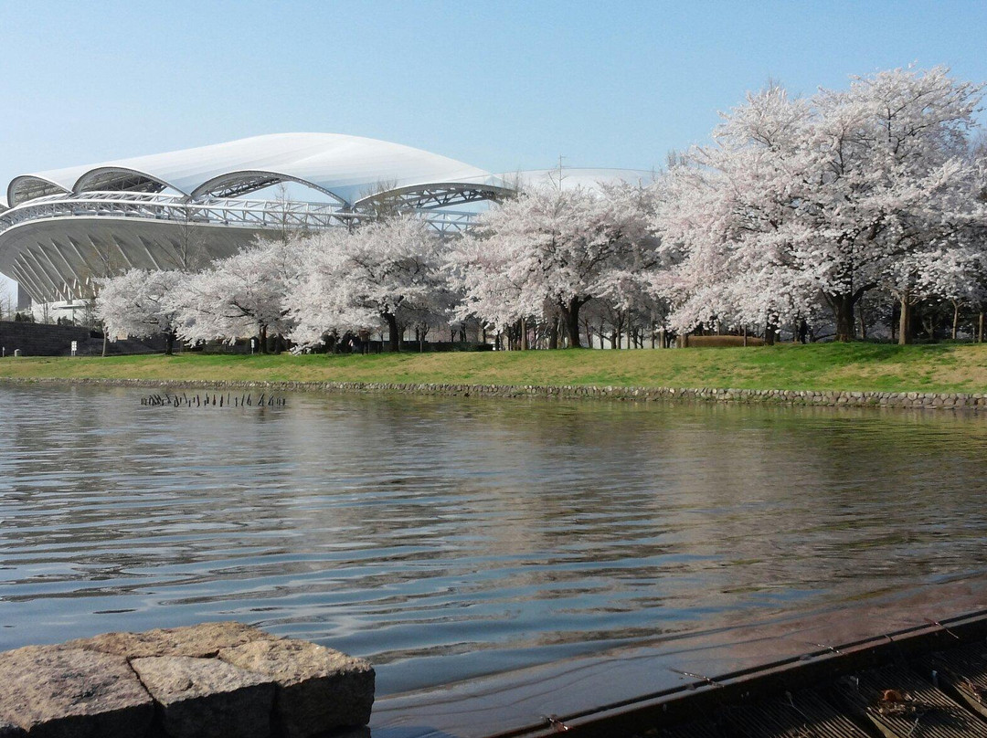 Toyanogata Park景点图片