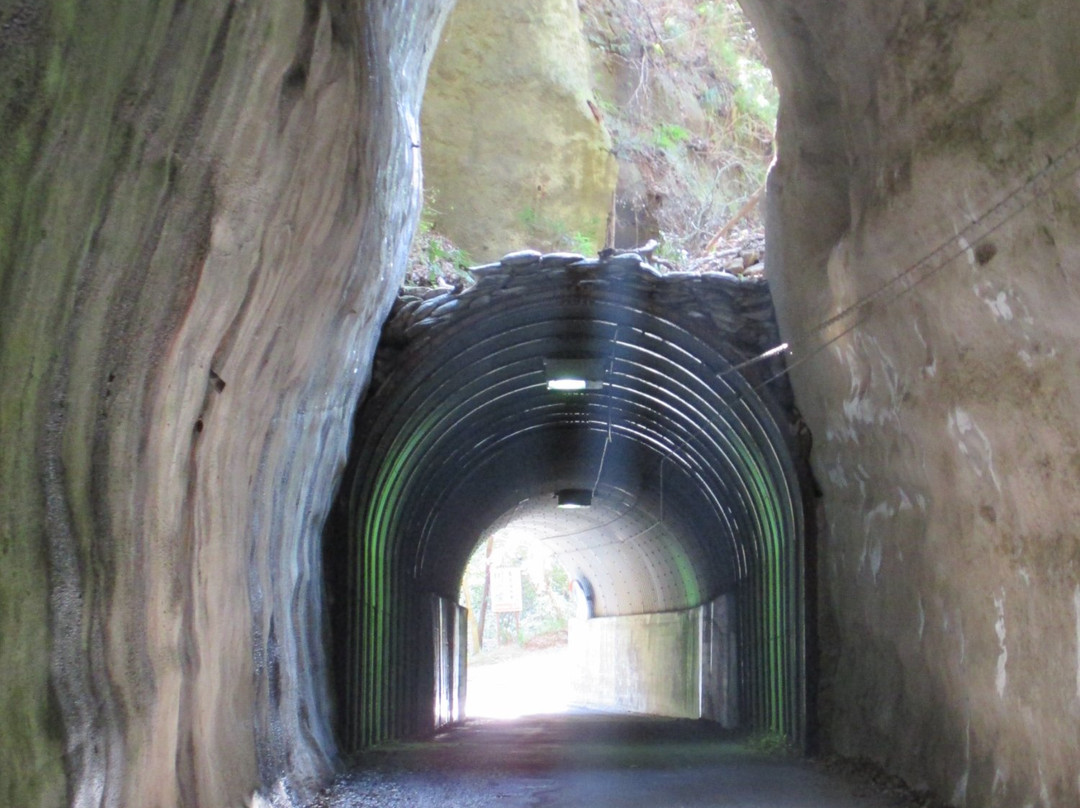 Kyoei / Mukoyama Tunnel景点图片