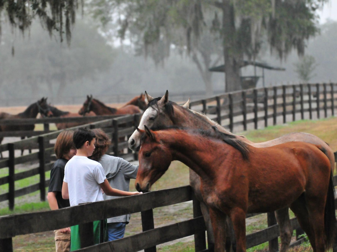 Farm Tours of Ocala