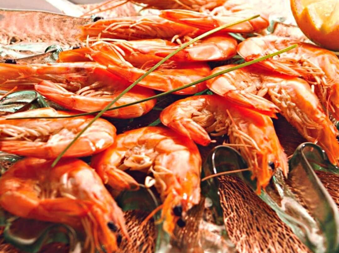 埃尔瓦什餐馆和美食-Mercato