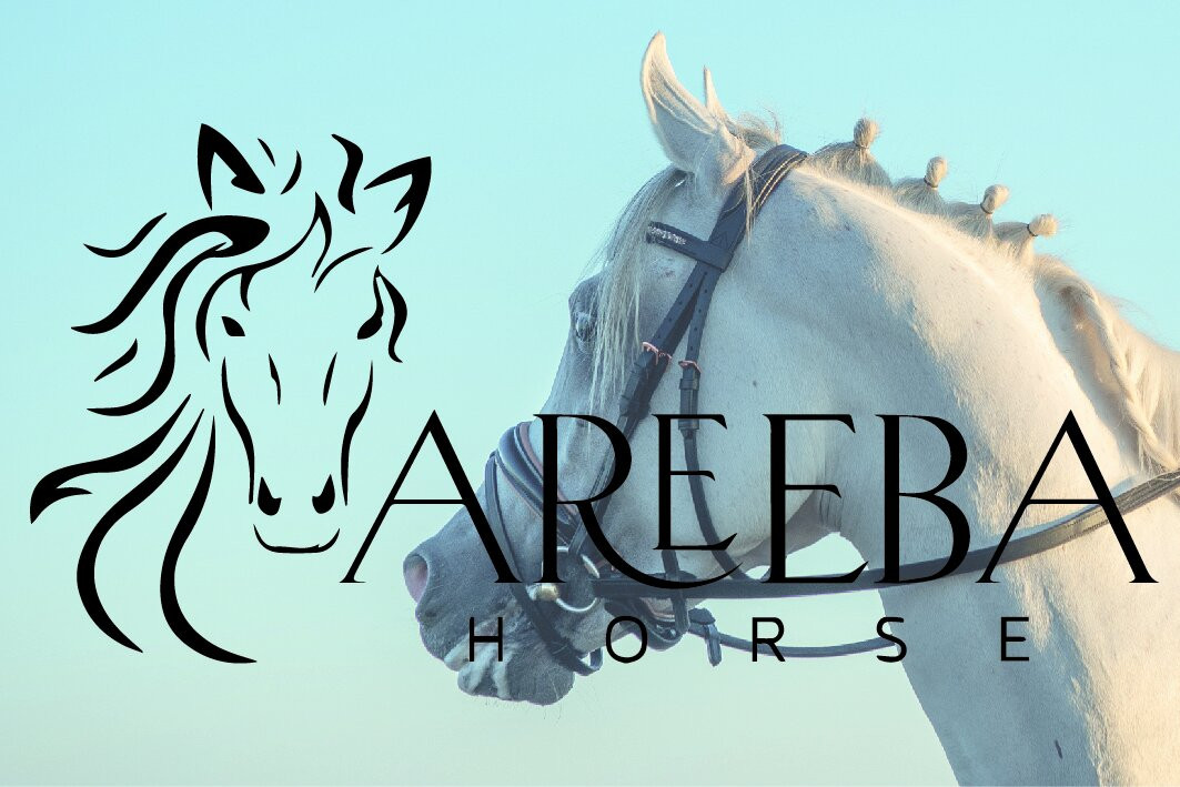 Areeba Horse景点图片
