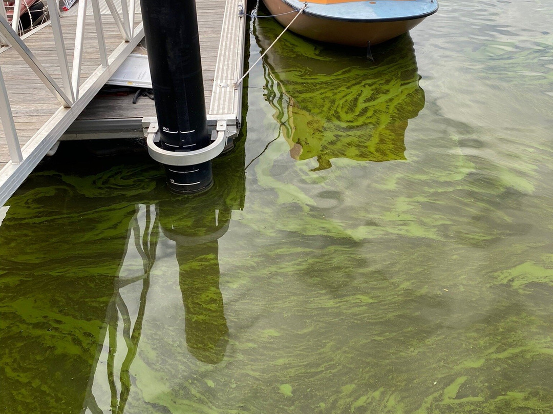 Goboat Canberra - Kingston-堪培拉必去景点