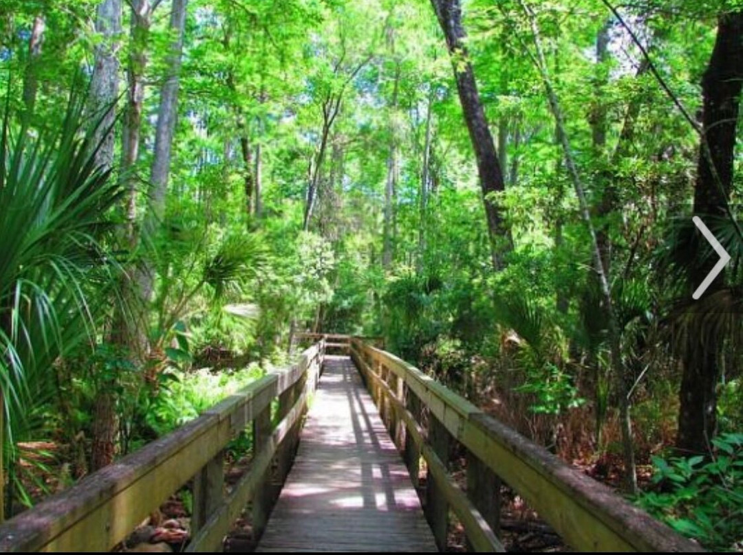 John Chesnut Sr. Park-帕姆港必去景点