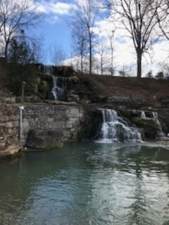 Spring Park景点图片