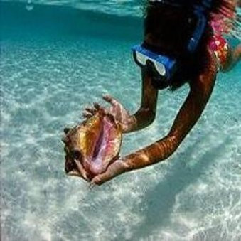 Inn La Galleria主图