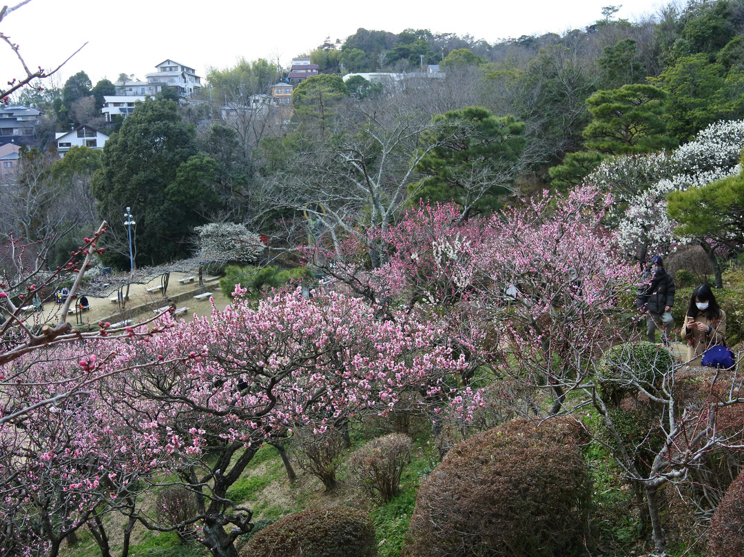 Nakayama Kannon Park景点图片