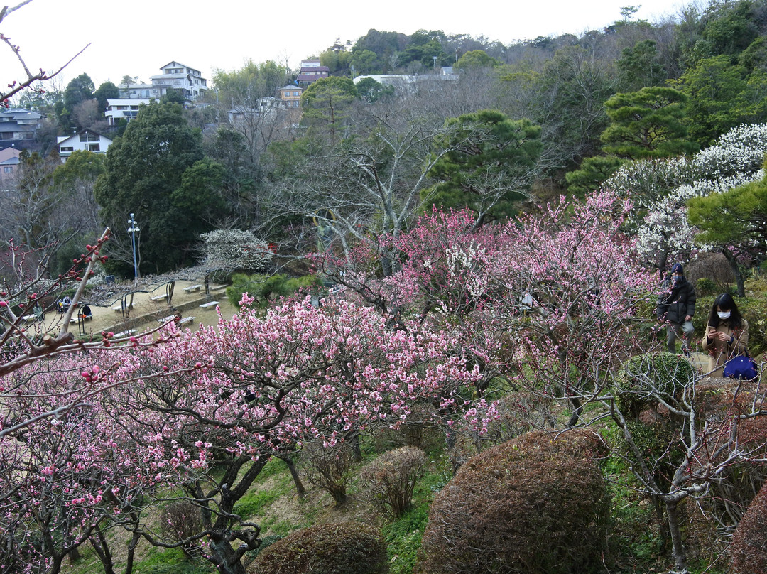 Nakayama Kannon Park-宝冢市必去景点