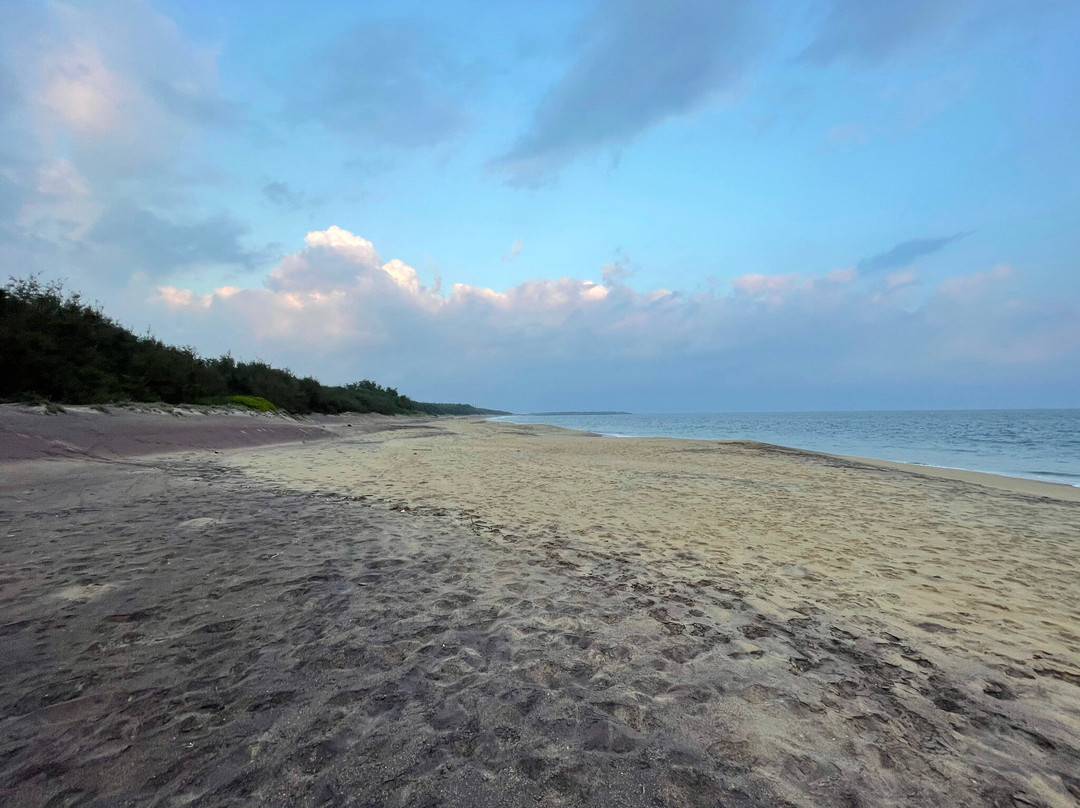 The Oasis Ayurveda Beach Resort主图