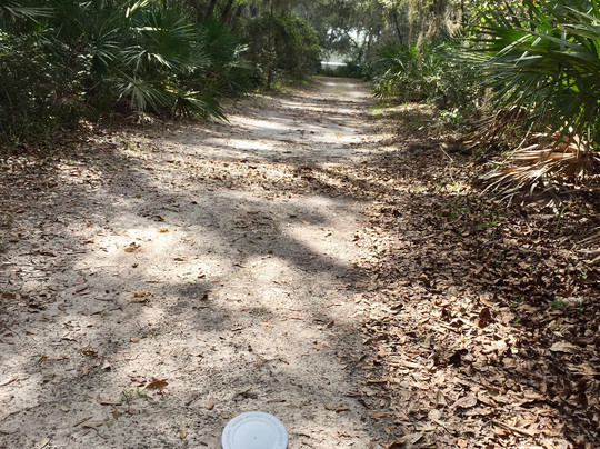 Faver-Dykes State Park-圣奥古斯丁必去景点