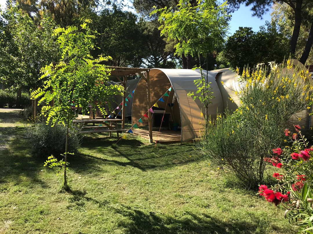 Camping Campo al Fico主图
