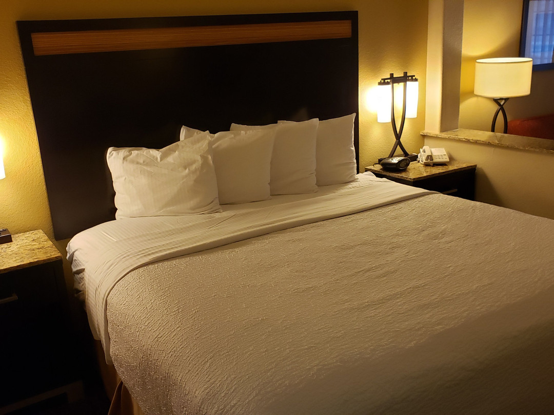 Best Western Plus Castle Rock主图