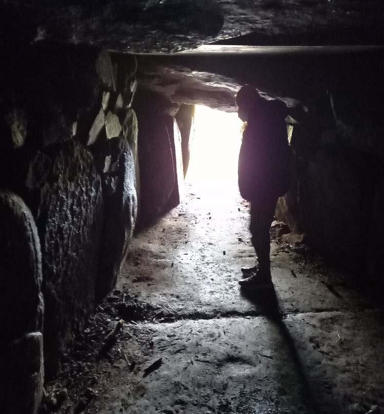 Dolmens de Mané Kerioned景点图片