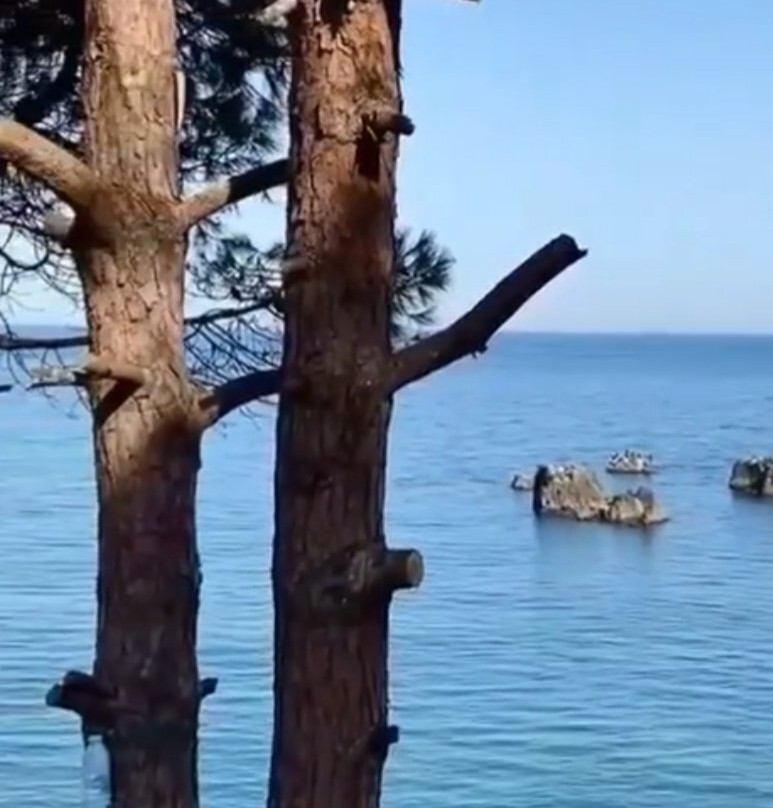Uniport AVM景点图片