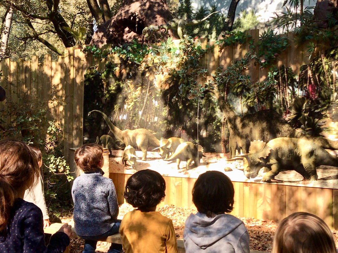 Dino's Park景点图片