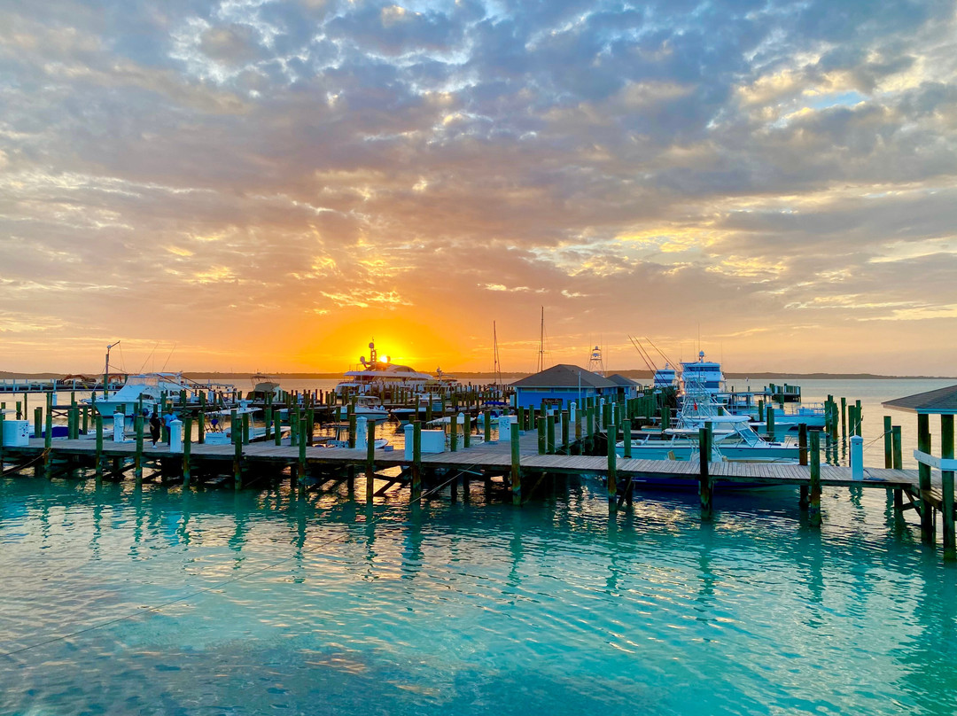 Conch & Coconut-哈勃岛必去景点