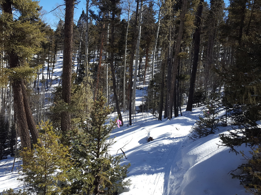 Enchanted Forest Cross Country Ski Area景点图片