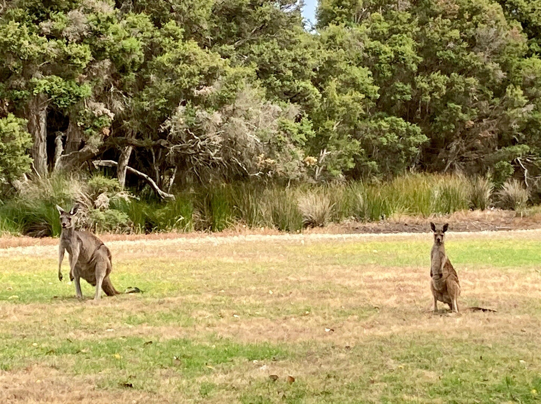 Kalgan River-Kalgan必去景点