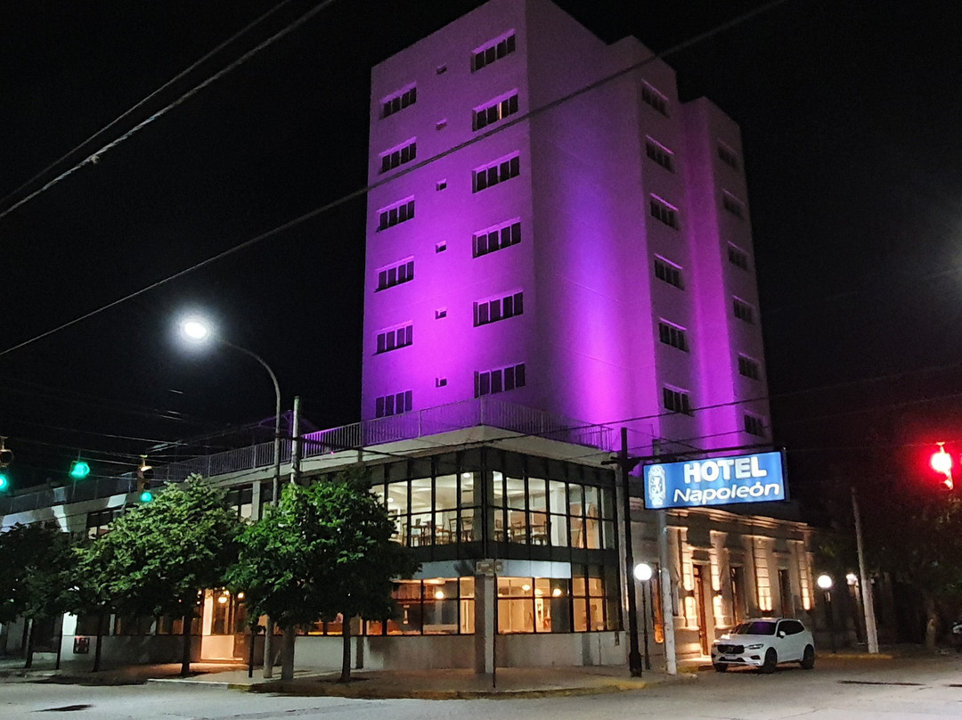 Hotel Napoleon主图